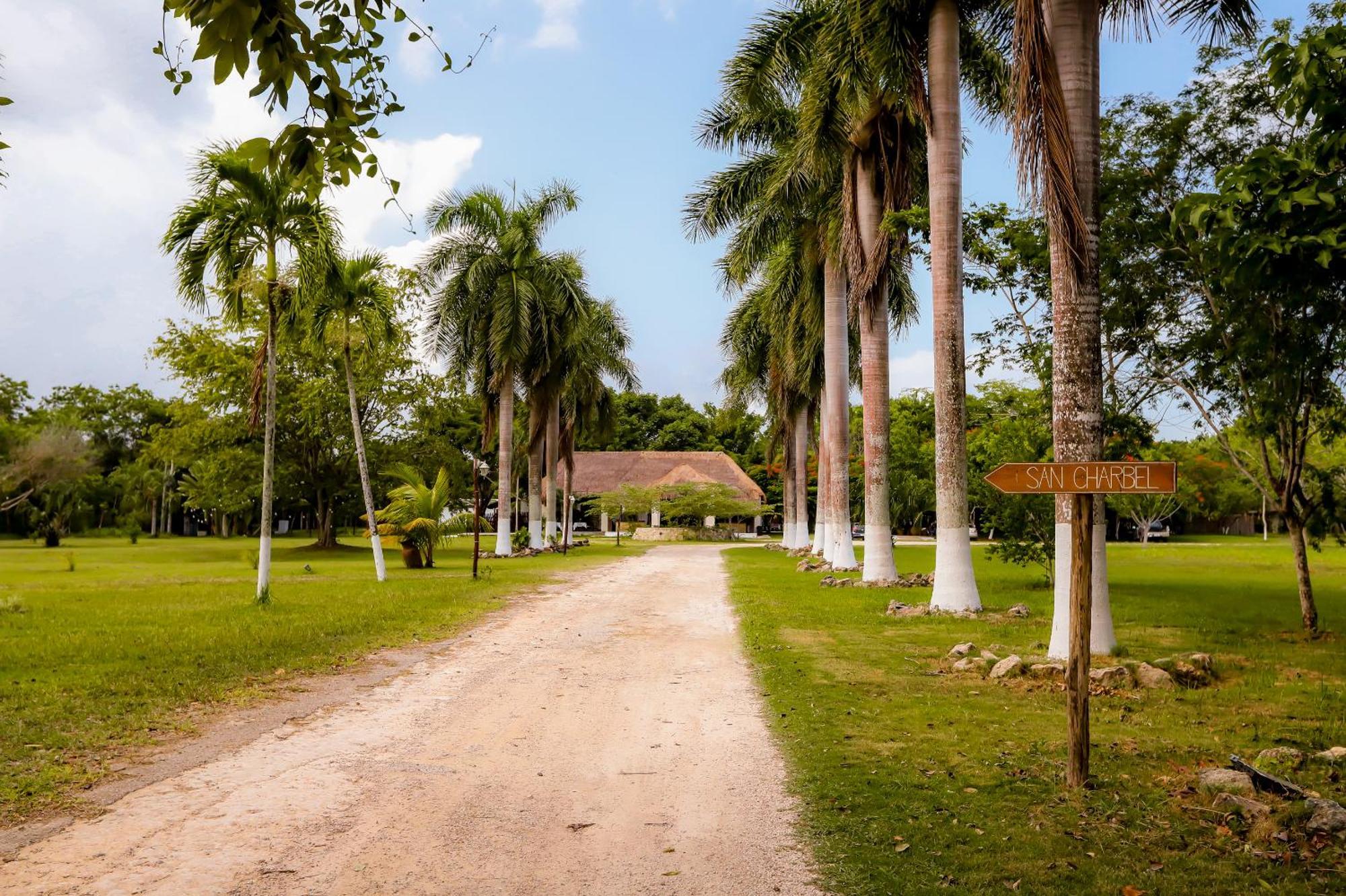 Mayan Secret Hotel Boutique Τσετουμάλ Εξωτερικό φωτογραφία