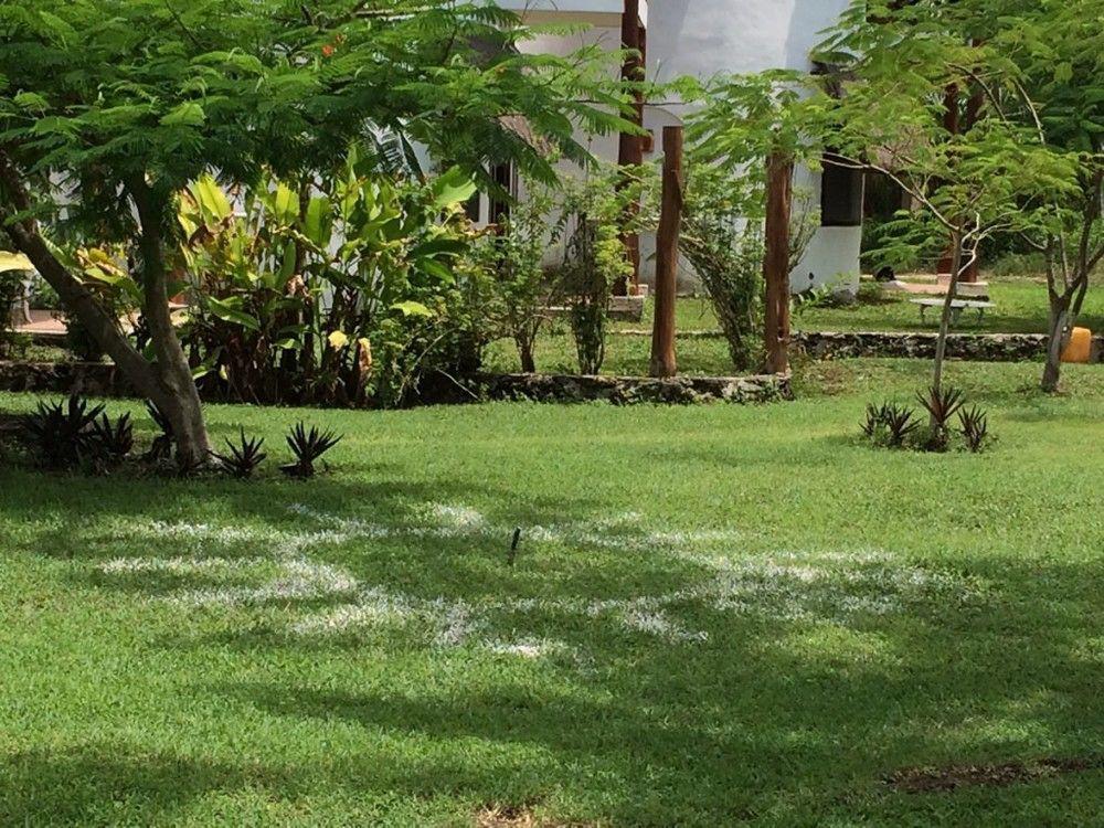 Mayan Secret Hotel Boutique Τσετουμάλ Εξωτερικό φωτογραφία